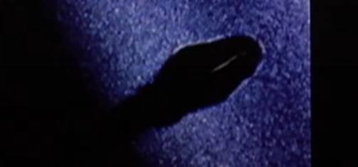 /조선일보 IT 유튜브 채널 '테킷'갤럭시Z폴드7의 접히는 힌지 부분에서 나온 검은색 액체를 전자 현미경으로 1500배 확대해 촬영한 모습. 갤폴드 힌지 부분에는 부품 간 마찰을 줄여 접힘 동작을 부드럽게 하는 특수 윤활유가 사용되는데, 이것으로 추정된다.