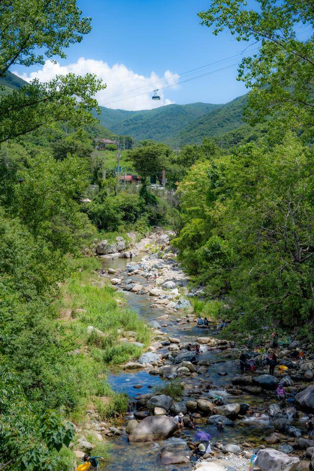 경남 밀양시 얼음골 계곡이 동천에 합류하는 지점에서 피서객들이 물놀이를 즐기고 있다.