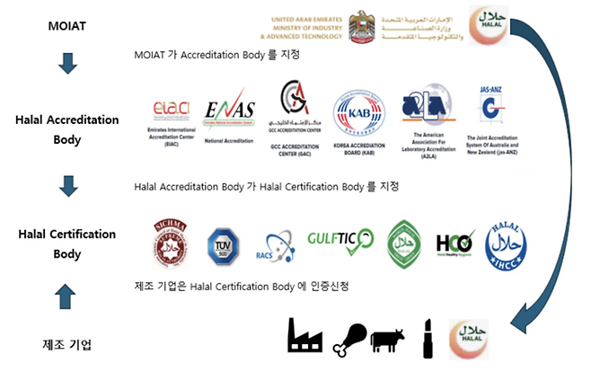 할랄 인증 기관의 이해 / 출처=코트라 두바이 무역관
