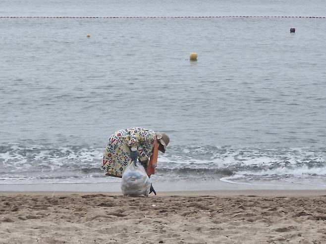 지난 9일 새벽 5시쯤부터 김씨(85)가 영덕 장사해수욕장에서 파도에 밀려온 해안가 쓰레기를 허리를 굽혀 맨손으로 남들 몰래 줍고 있다.(영남일보 DB)
