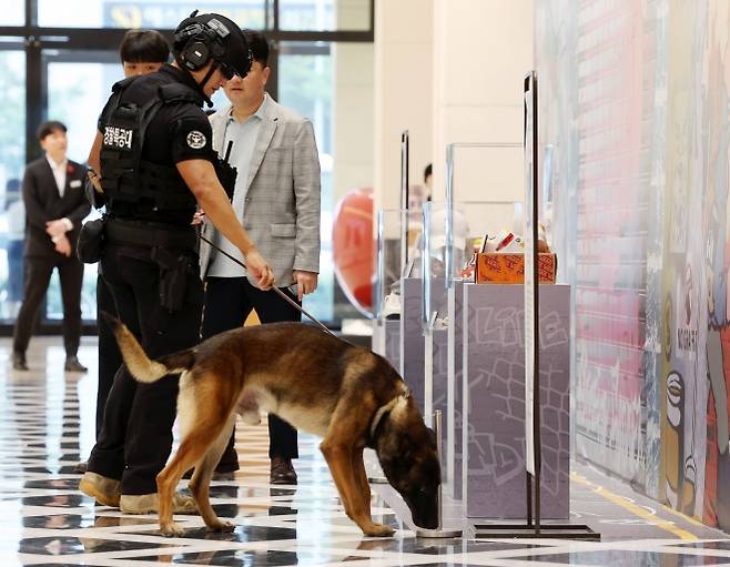 11일 광주 서구 한 백화점에서 경찰특공대 탐지견이 폭발물 탐색을 하고 있다. 광주 연합뉴스