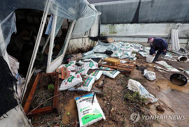 폭우가 휩쓸고간 흔적 (인천=연합뉴스) 이동해 기자 = 서울을 비롯한 수도권에 집중호우가 쏟아진 13일 침수 피해를 입은 인천 계양구 병방동의 한 화훼농원에서 관계자가 물이 빠진 비닐하우스를 살펴보고 있다. 2025.8.13 eastsea@yna.co.kr