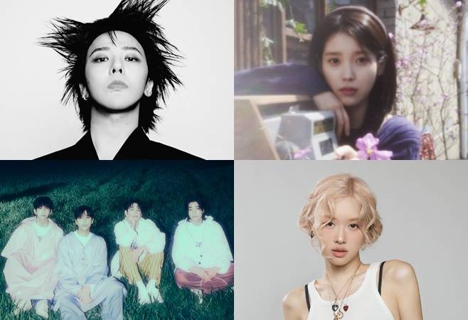 티브이데일리 포토