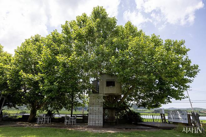 나무 위에 지은 동학평화도서관. ⓒ시사IN 조남진