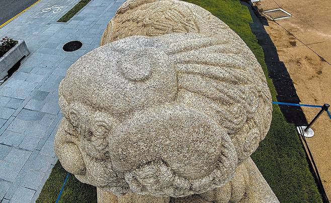 광화문 ‘해태상’ 머리 부분. 나선형 무늬만 있을 뿐, 뿔이 없다. /박종인 기자, 김영균 제공