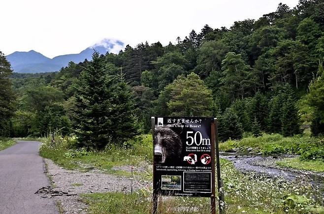 지난 15일 등산객이 곰에 물려 사망한 훗카이도 동부 라우스다케산. 사진=요미우리신문 캡처