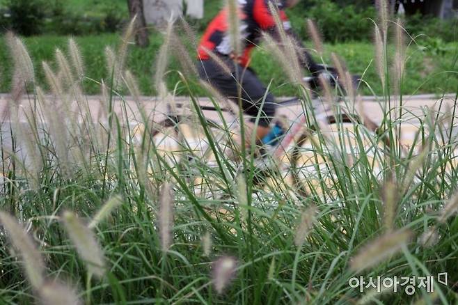 사진은 기사의 특정 내용과 관련 없음. 아시아경제DB