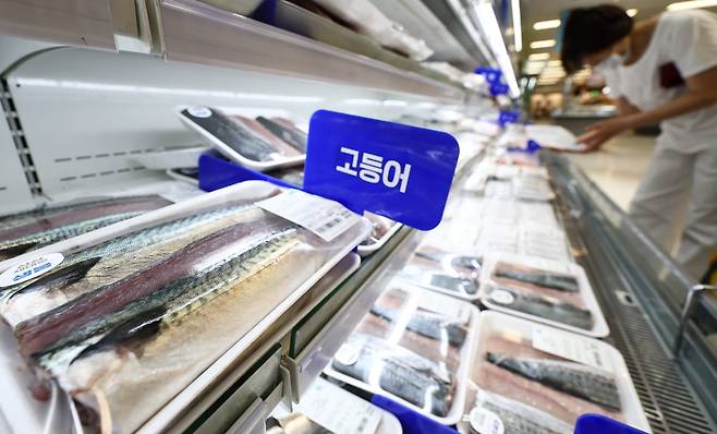 서울 시내 대형마트에 진열된 고등어. 뉴스1