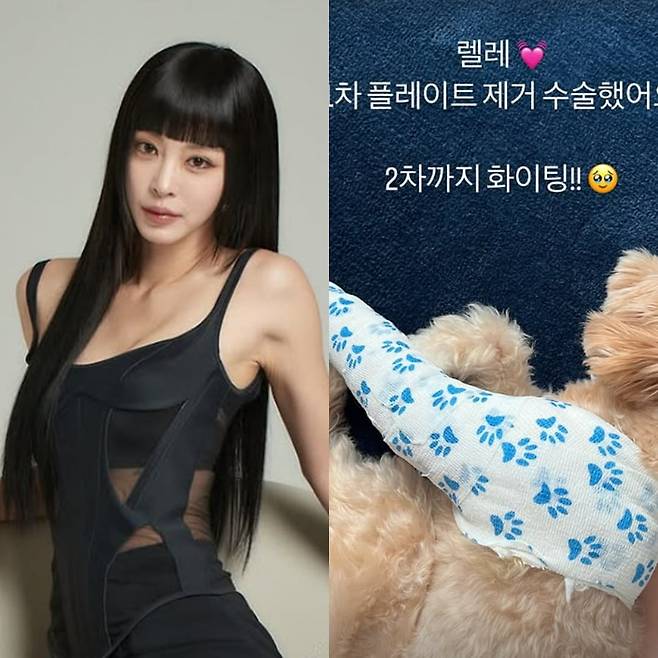 사진=한예슬