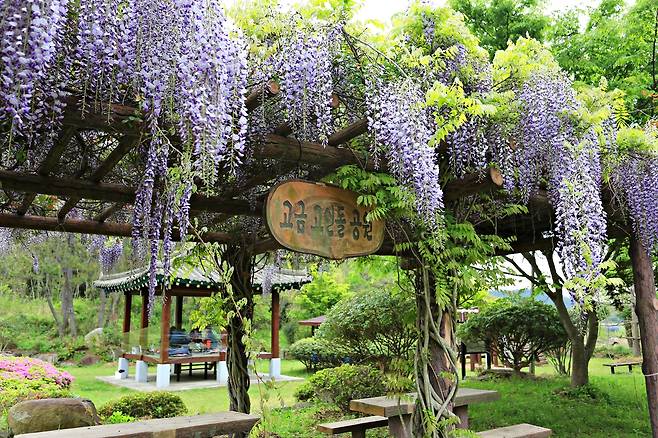 완도 고금도에서 잠시 쉬어가기 좋은 고인돌공원
