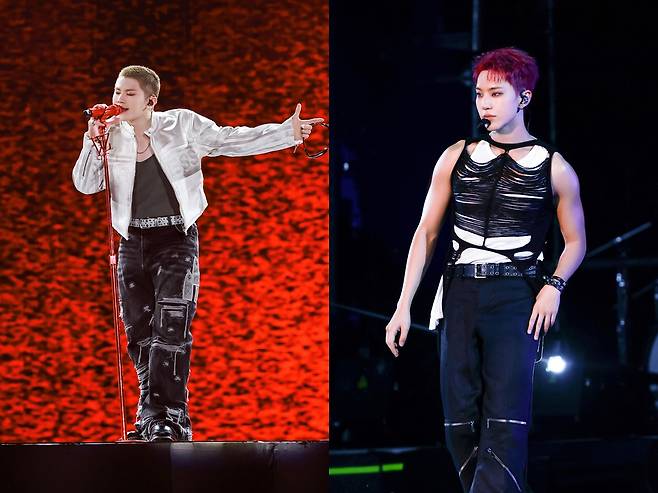 /사진=플레디스