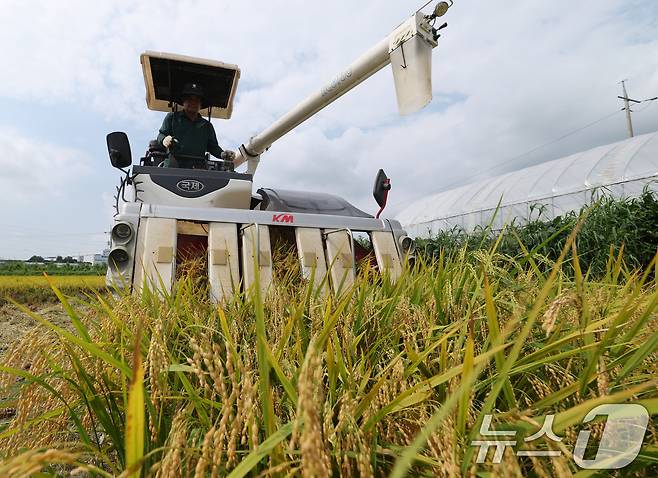 경기 화성시 정남면의 한 논에서 농부들이 콤바인을 이용해 벼를 수확하고 있다. 2025.8.25/뉴스1 ⓒ News1 김영운 기자