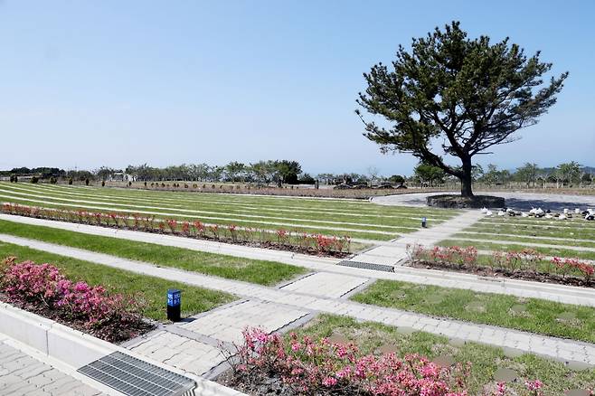 제주시 봉개동 용강별숲공원 전경.