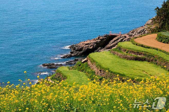 국내 대표 여름 휴양지로 떠오른 경남 남해의 다랭이마을(호텔스컴바인 제공)