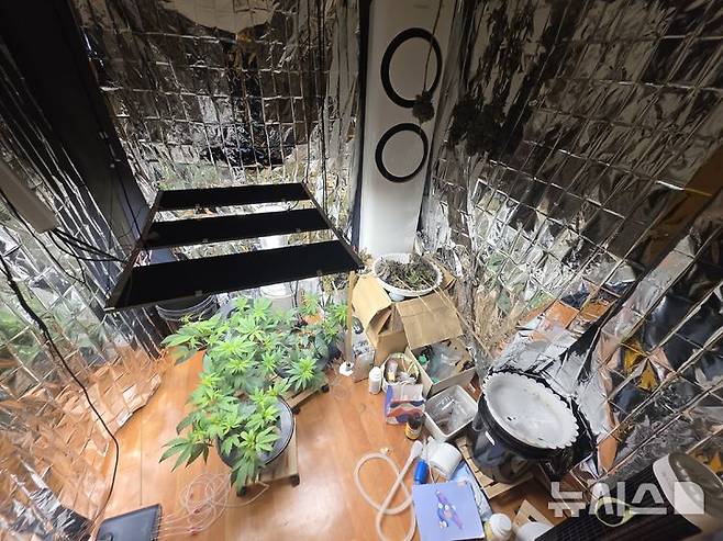 중부해양경찰청 제공