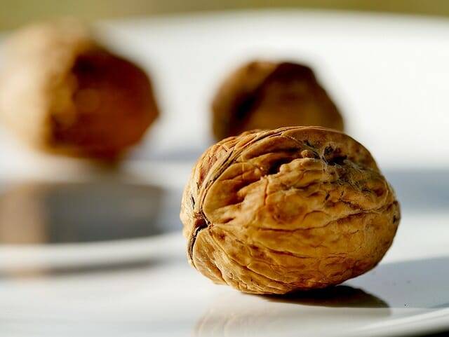 캐나다 워털루 대학 연구진이 호두 껍질과 물방울로 전기를 생산하는 동전 크기의 장치를 개발했다. (이미지 출처=픽사베이)