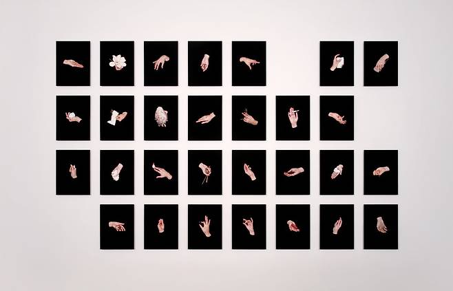 대답들 (Replies), 2024