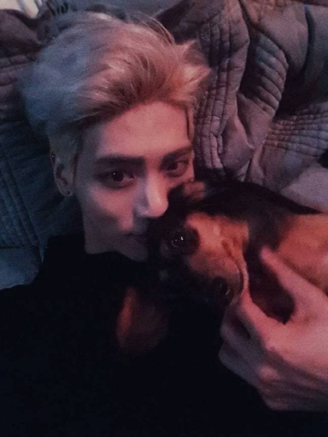 故 종현. 사진 | SNS