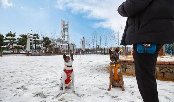 경기 오산시에 있는 반려동물 테마파크를 이용하는 모습. /한국관광공사 '대한민국 구석구석' 홈페이지 캡처