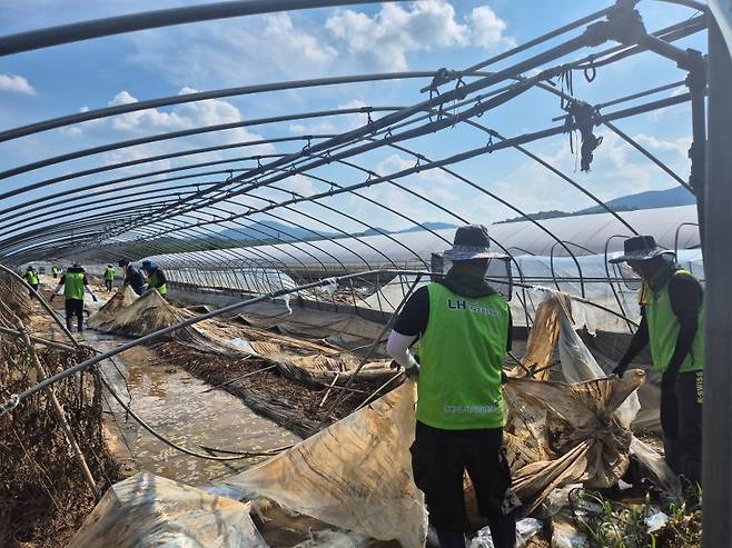 LH 임직원들이 참여한 경남지역 수해복구 현장 LH 제공