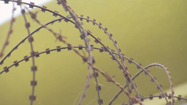 사진은 기사 내용과 관련 없음