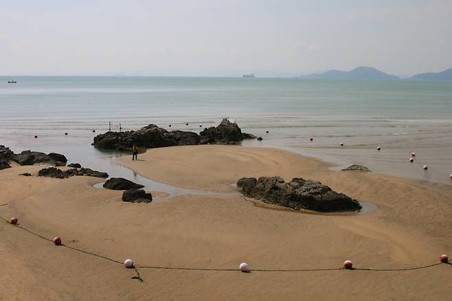 '2025 바다미술제'가 진행되는 다대포해수욕장. /부산비엔날레조직위원회