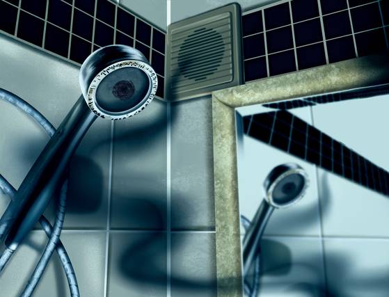 이지우 디자이너