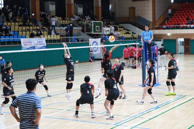 지난 2024년 전북특별자치도교육감배 학교스포츠클럽대회. /전북교육청 제공