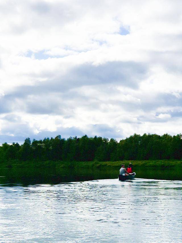 키틸라 오우나스강의 잔잔한 수면이 카누의 경로를 따라 일렁이고 있다.