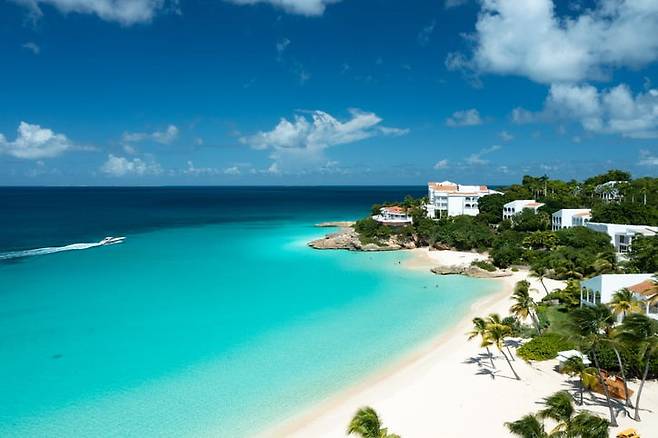 앵귈라의 한 해변./사진=게티이미지뱅크