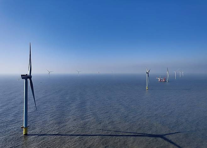 전남 신안군 해상풍력발전단지 전경. /전남도 제공