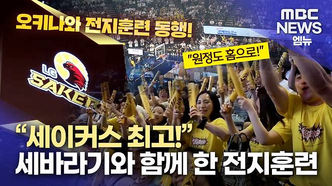 뉴스 관련 사진