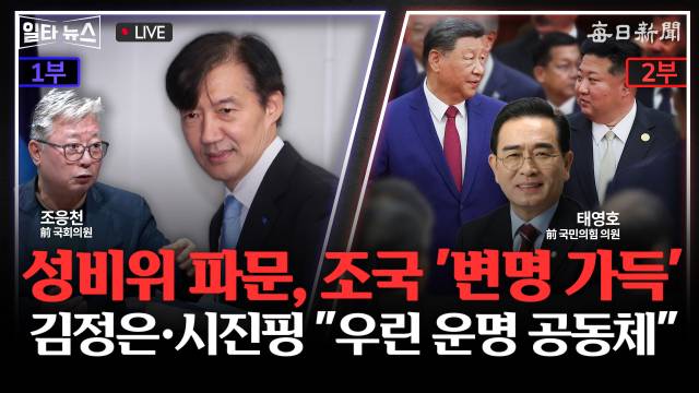 매일신문 유튜브