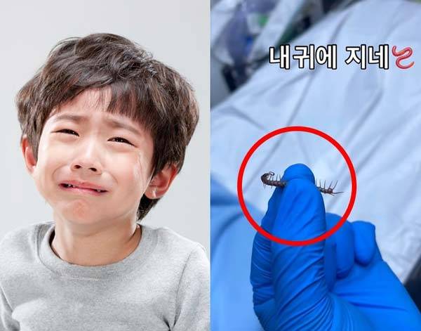 사진 속 아동은 실제 사례자가 아님/사진=클립아트코리아, SNS 갈무리