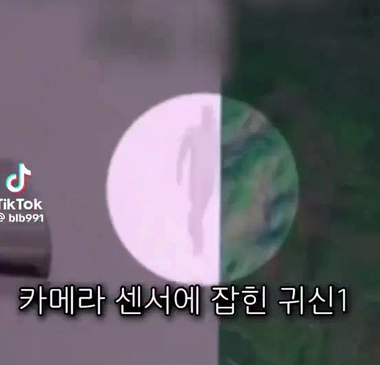테슬라 네비게이션에 잡힌 사람 영상. 틱톡 캡처