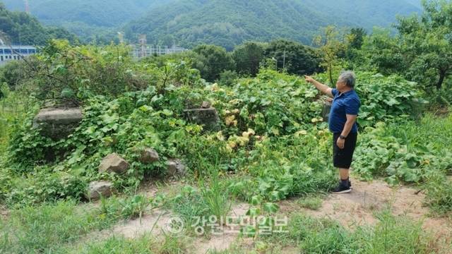 ▲ 1940년 화천수력발전소 건설에 쓰이는 자재를 실어나르기 위해 설치했던 공중삭도의 교각이 화천 곳곳에 남아있다.