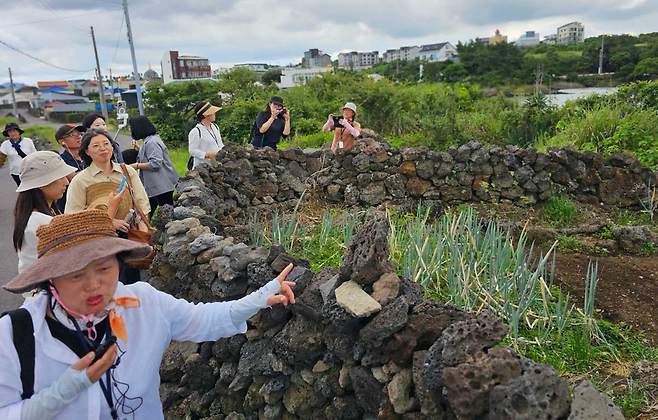 6일 제주시 조천읍 일대에서 진행된 '솔째기 제주와수다' 로컬여행 팸투어. ⓒ제주의소리