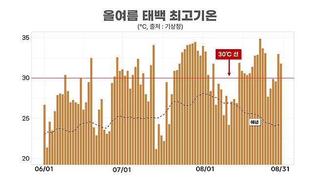 <그림 2> 태백 최고기온
