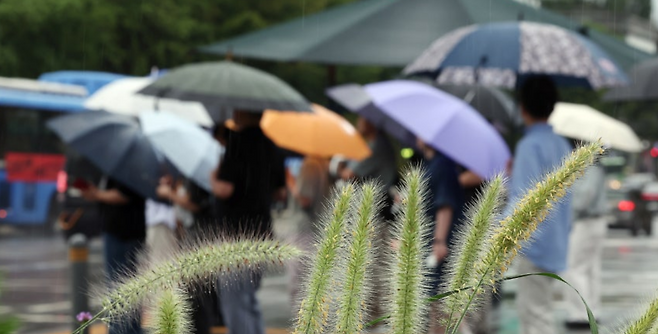 뉴스1 자료사진