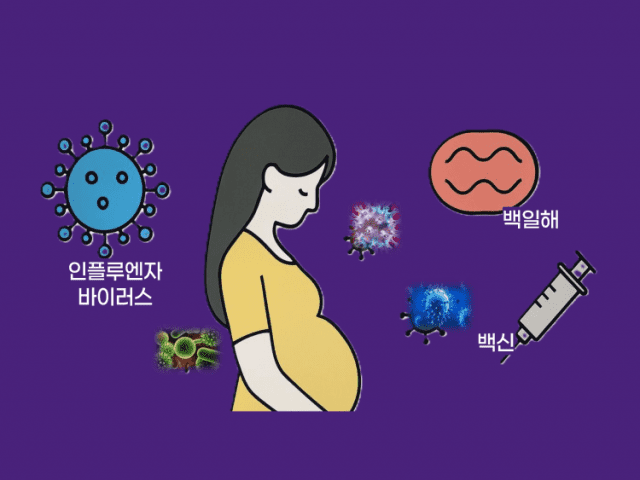 사진=인제백병원