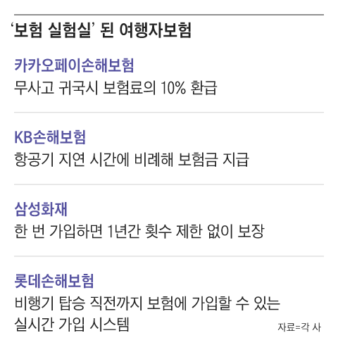 그래픽=조선디자인랩 정다운