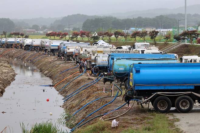 최악의 가뭄을 겪고 있는 7일 강원 강릉에 비가 내렸다. 강릉의 한 작은 하천에서 살수차들이 줄지어 취수하고 있다. 연합뉴스.