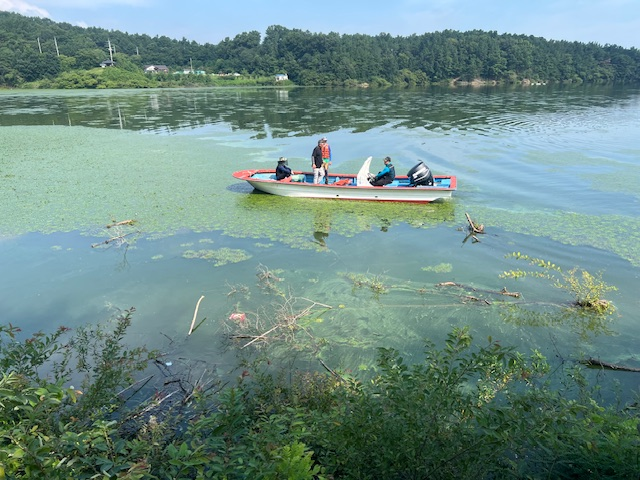 ▲ 구천면새마을협의회 회원들과 한국농어촌공사 의성·군위지사 직원들이 의성 조성지에서 수초와 부유물 등을 제거하며 '청산愛 뚜벅이길' 환경정비 활동을 펼치고 있는 모습. 의성군