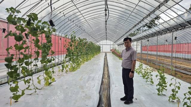 김주섭 성주농업기술센터 소장이 성주참외 수직재배 시험포 현장을 설명하고 있다. 이홍섭 기자