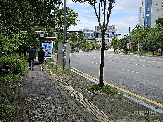 9월 2일 광주 북구 신용동 일대 도로의 모습. 왕복 6차선이 넓게 펼쳐져 있는 반면 보행로에는 자전거도로와 가로수, 정류장 등 가로 시설로 인해 보행 환경이 매우 불편하다는 점을 확인할 수 있다. 이삼섭기자 seobi@mdilbo.com