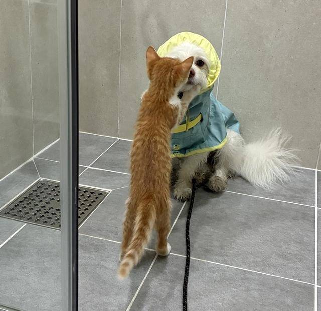 언니 어디갔다 왔어!!