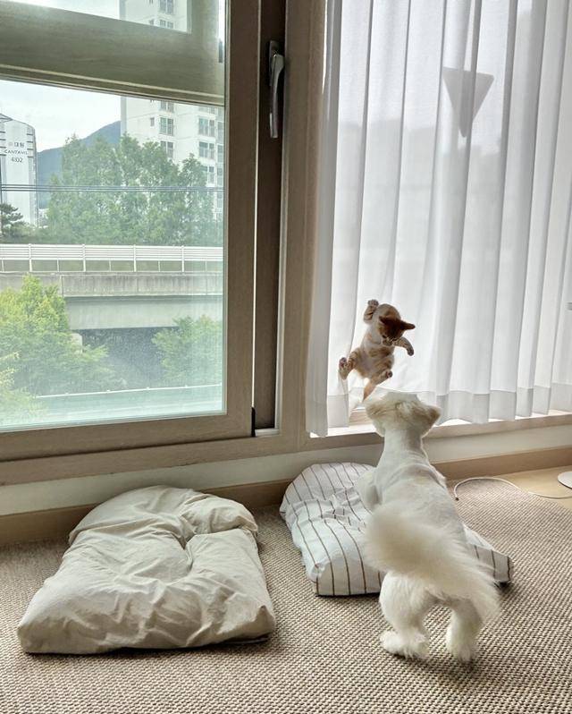 집사님 칭찬해요! 이런 장면을 남기셨다니