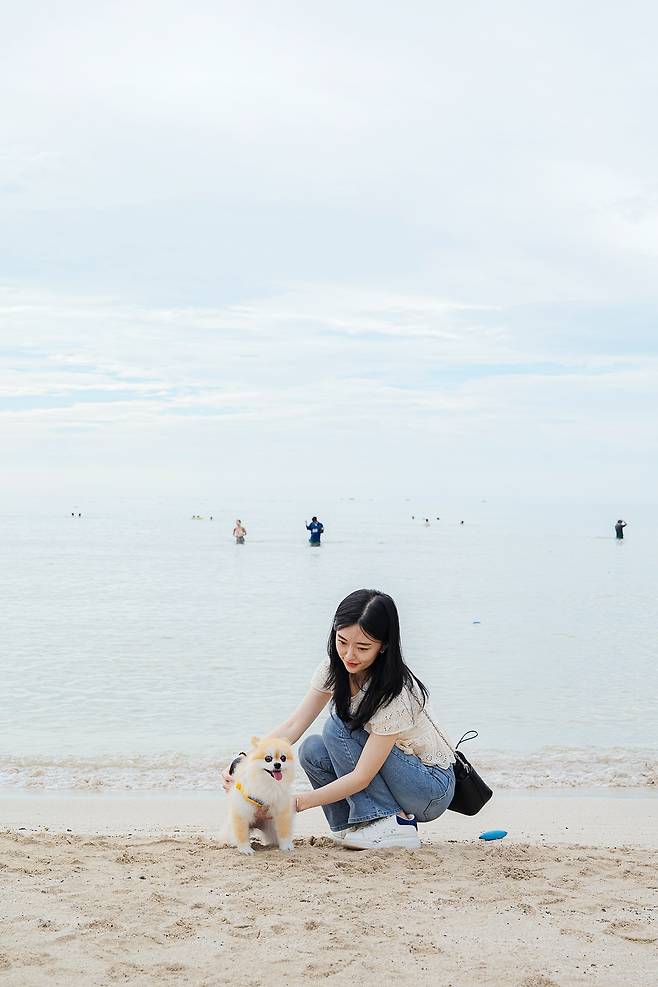 함도그비치서 댕댕이도 힐링~
