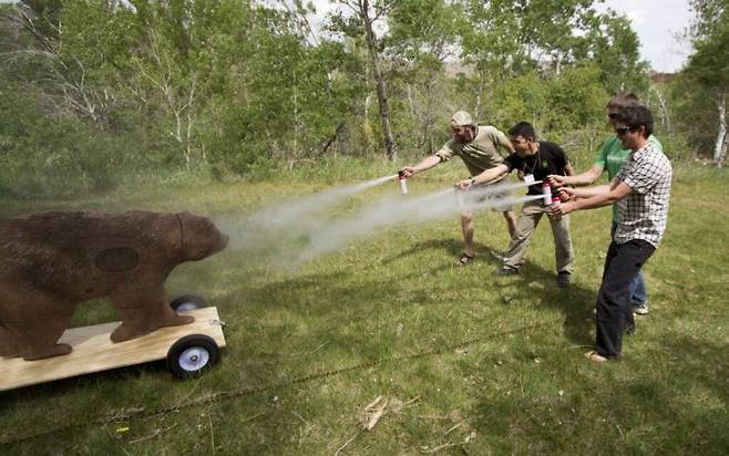 톰 스미스 브리검영대학 교수 연구진이 바퀴 달린 인형 곰을 향해 곰 퇴치용 스프레이 분무 연습을 하고 있다. 스미스 교수·와일드라이프소사이어티