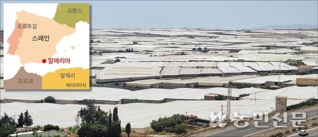 비닐하우스가 가득한 스페인 알메리아 전경.